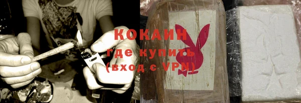 молекула духа Нягань