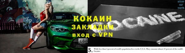 соль ск Няндома