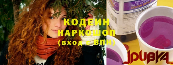 молекула духа Нягань