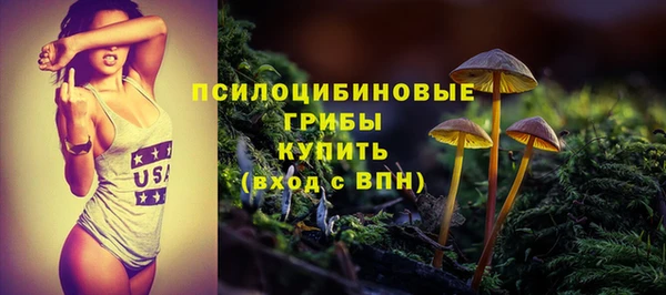 соль ск Няндома