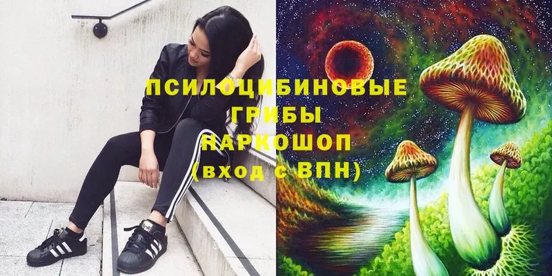 Галлюциногенные грибы мухоморы  Ковылкино 