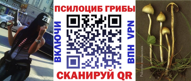 где продают ОМГ ОМГ вход Галлюциногенные грибы прущие грибы Ковылкино