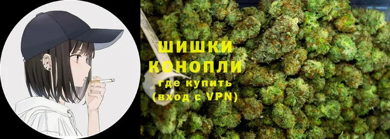 Шишки марихуана THC 21%  Ковылкино 